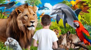 lion-dauphin-perroquet-nature-jeune-adulte