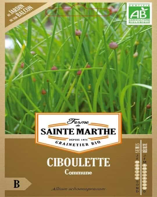 Allium-choenoprasum-Ciboulette-Commune-540×680-1.jpg