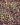 HEDERA-HELIX-SAGITTIFOLIA-Vivaces-540×680-1.jpg